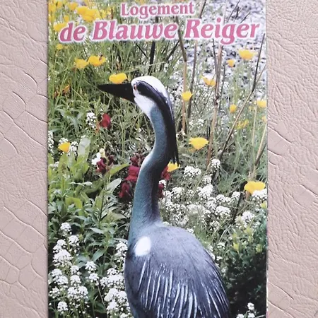 Bed and breakfast De Blauwe Reiger *